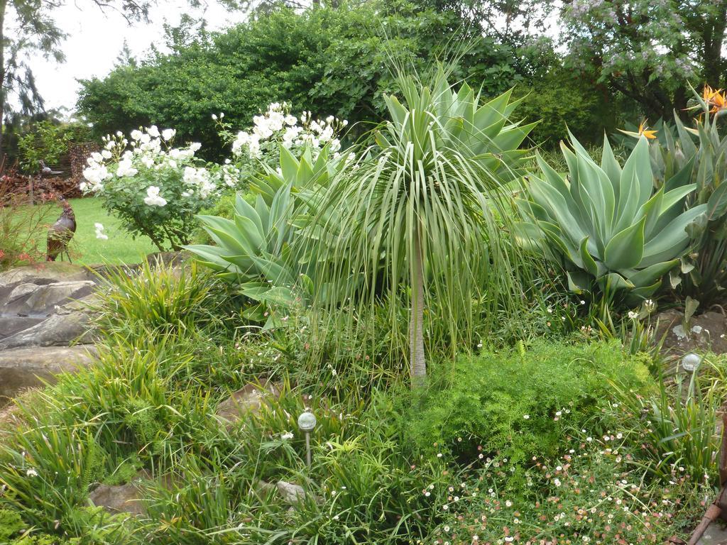 Marula Lodge Swellendam Exterior foto