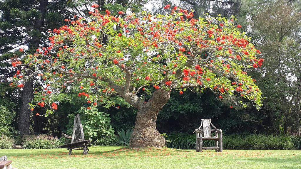 Marula Lodge Swellendam Exterior foto