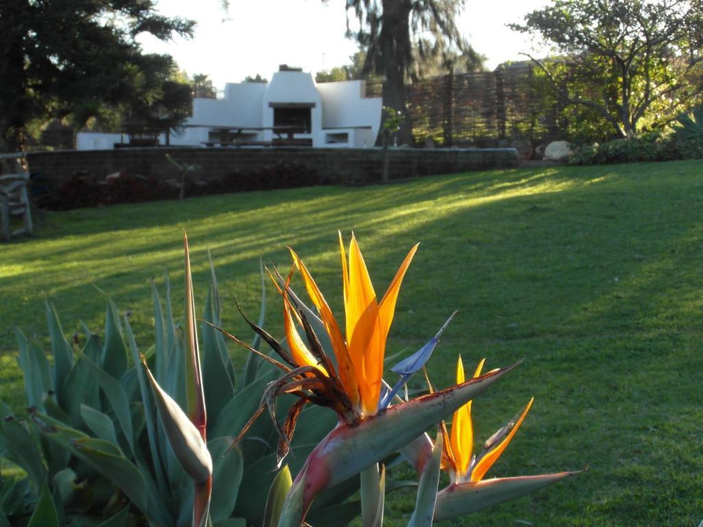 Marula Lodge Swellendam Exterior foto