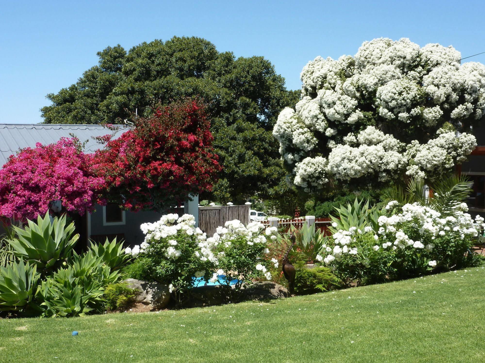 Marula Lodge Swellendam Exterior foto