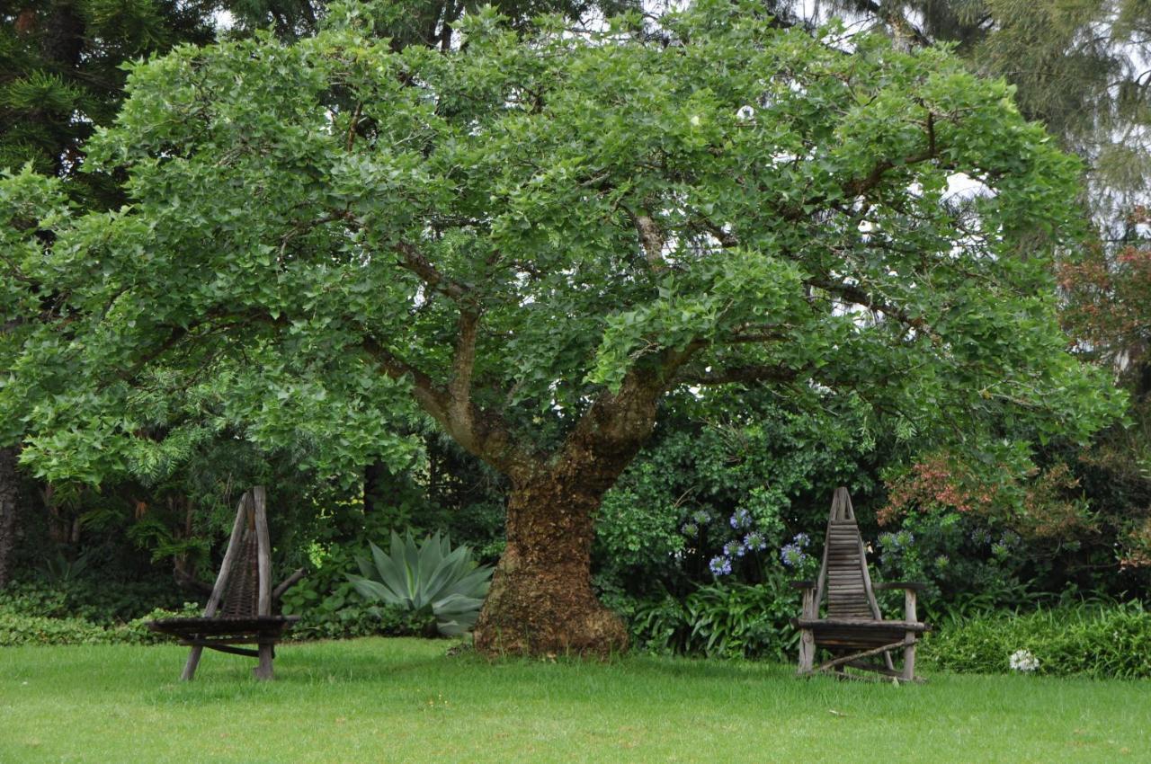 Marula Lodge Swellendam Exterior foto